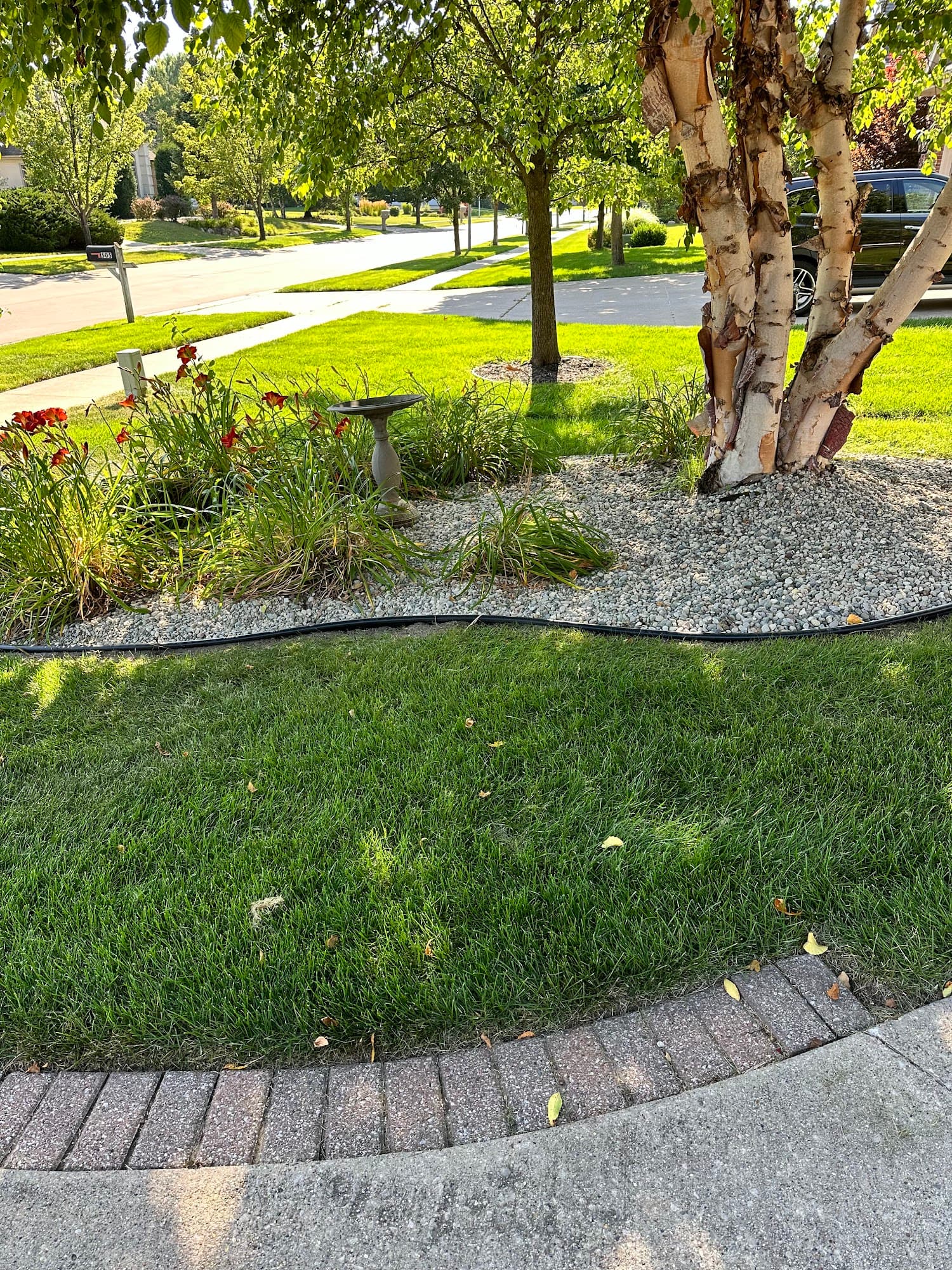 Mulched garden beds with plantings